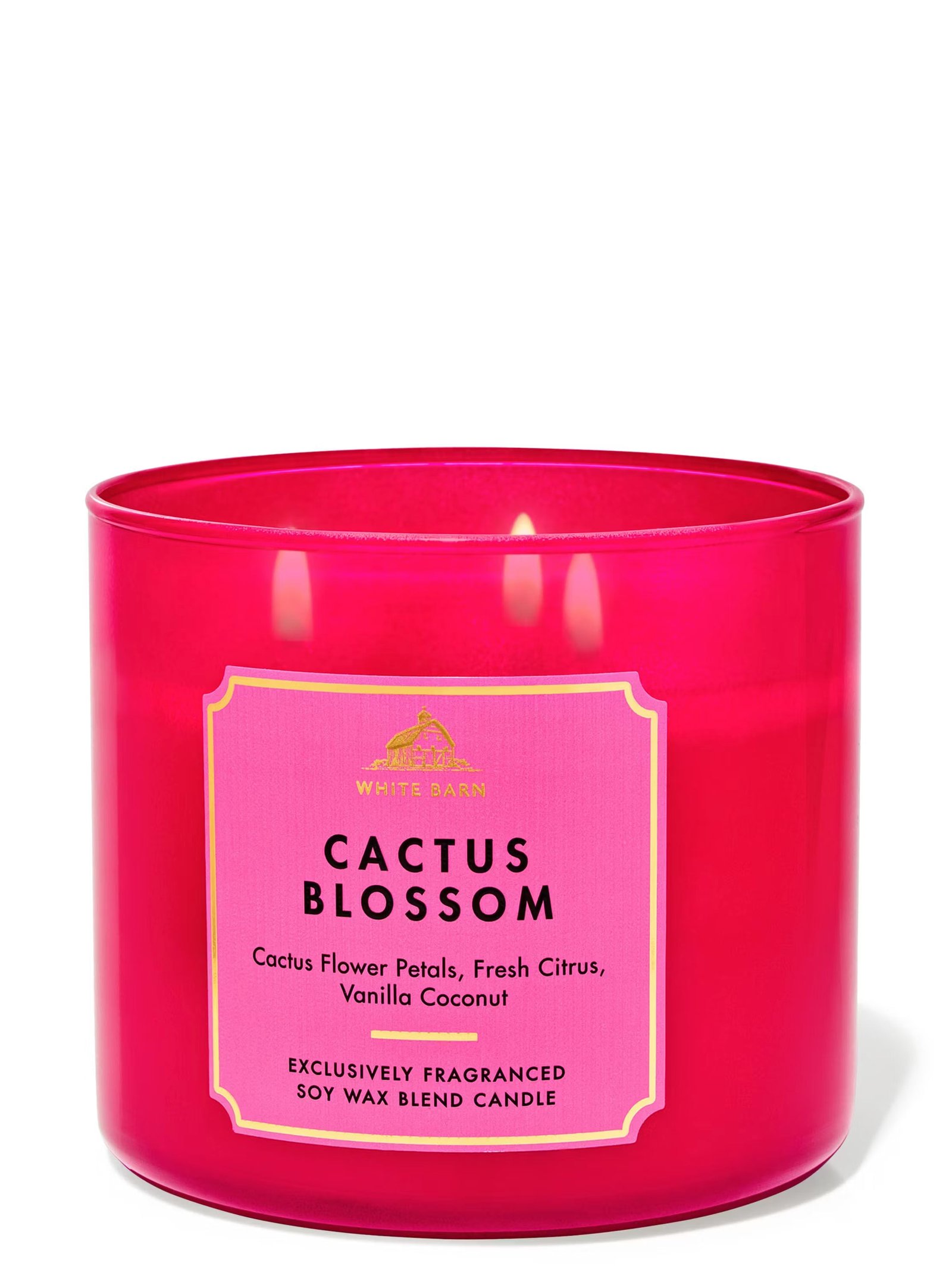 Cactus Blossom 3-Wick Candle - Image 2