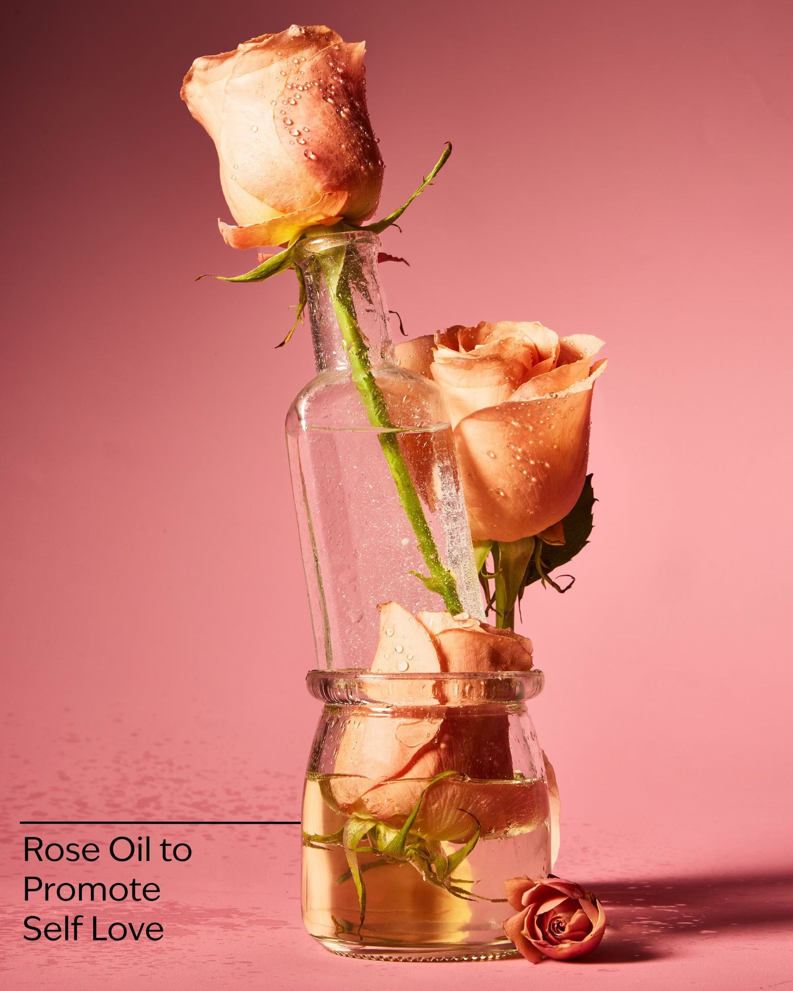 Heirloom Rose Body Wash & Foam Bath - Image 3