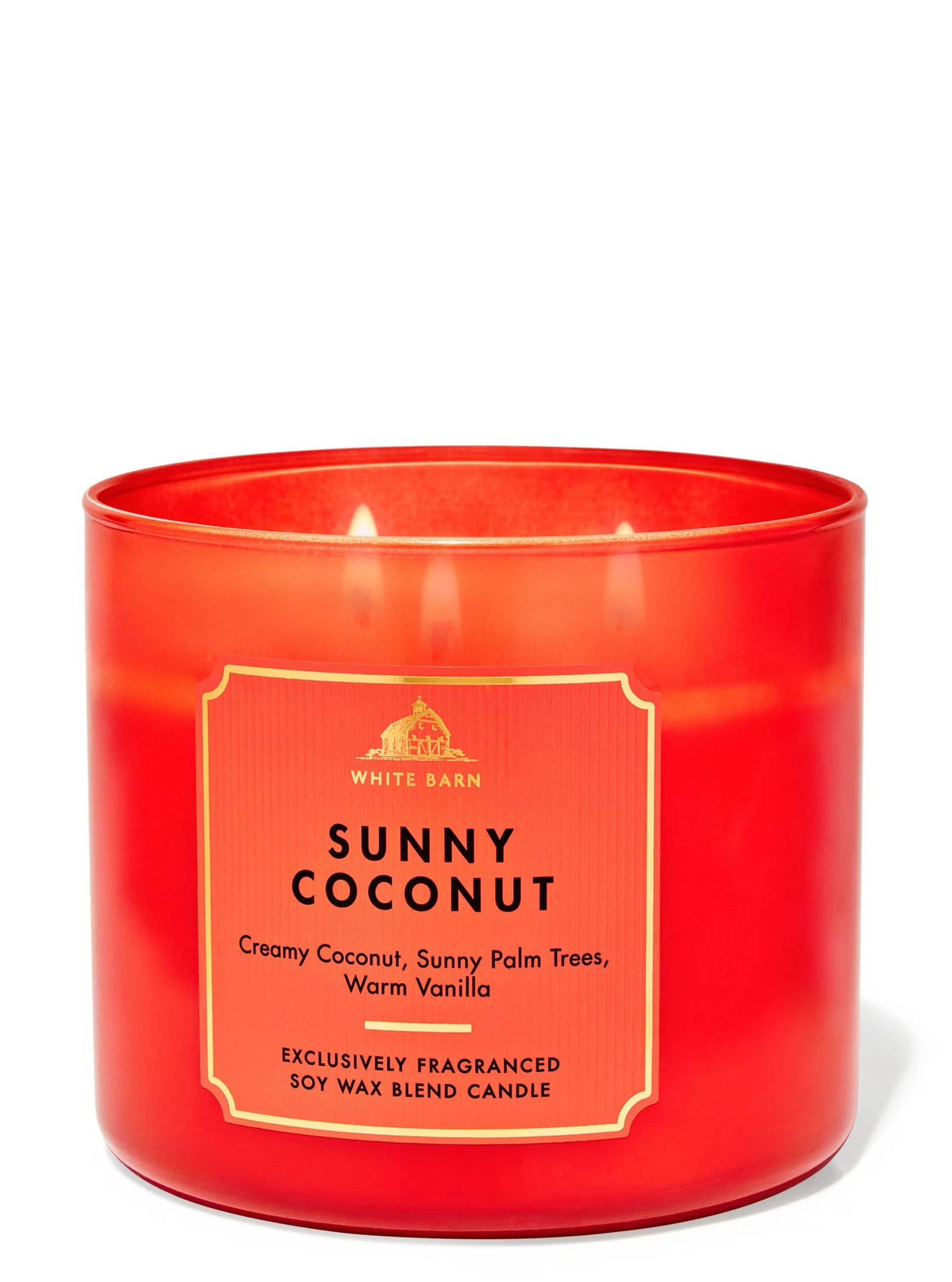 Sunny Coconut 3-Wick Candle - Image 2