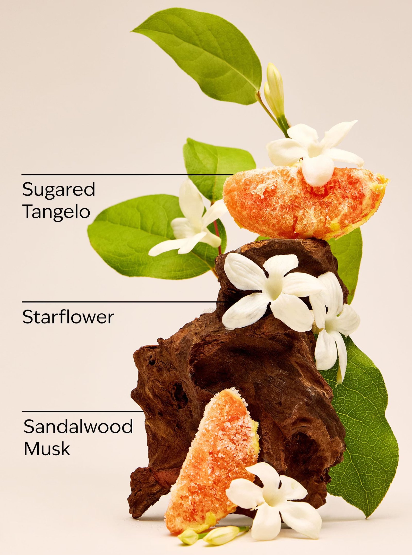 In the Stars Body Lotion - Image 3
