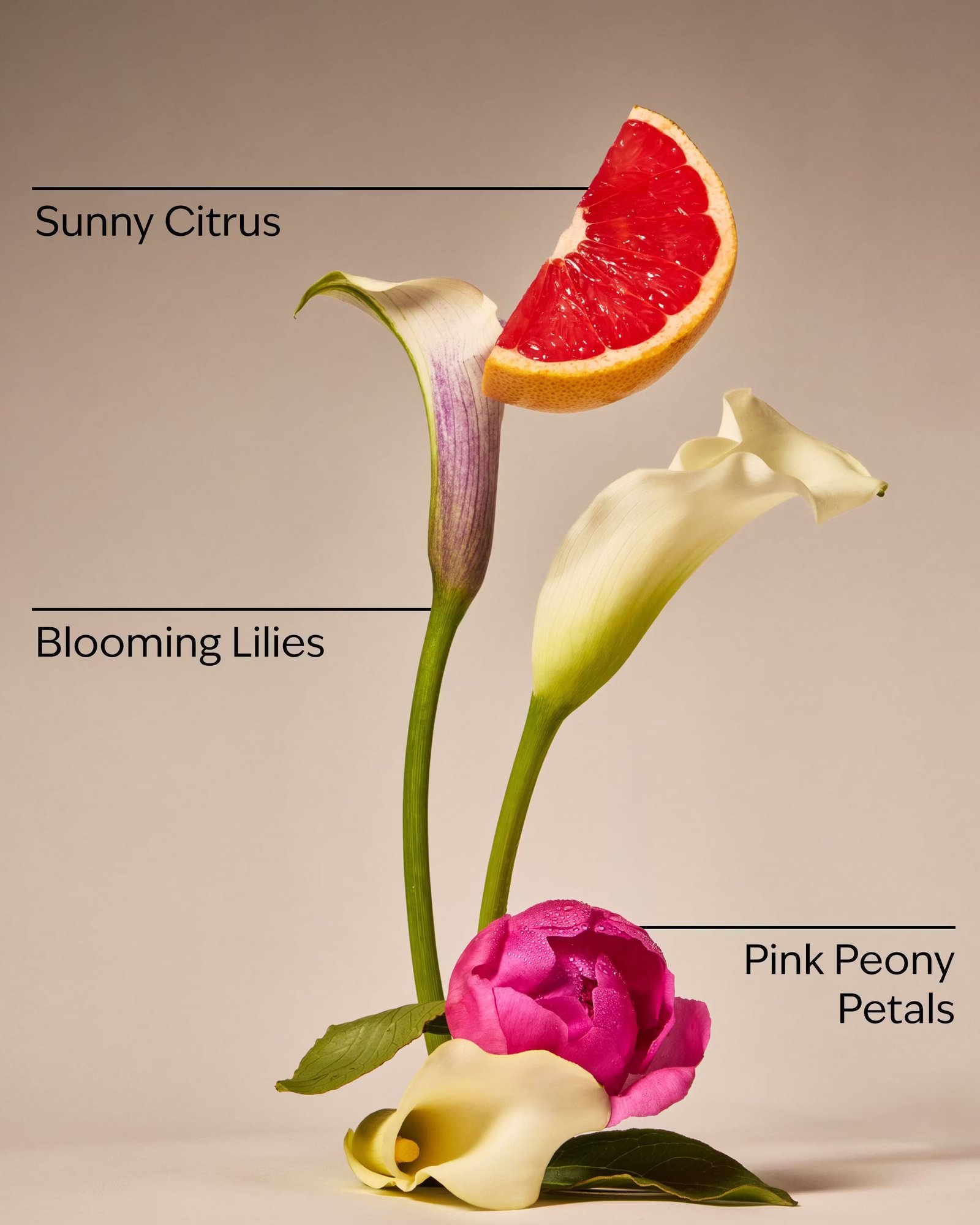 First Blooms Of Spring 3-Wick Candle - Image 3