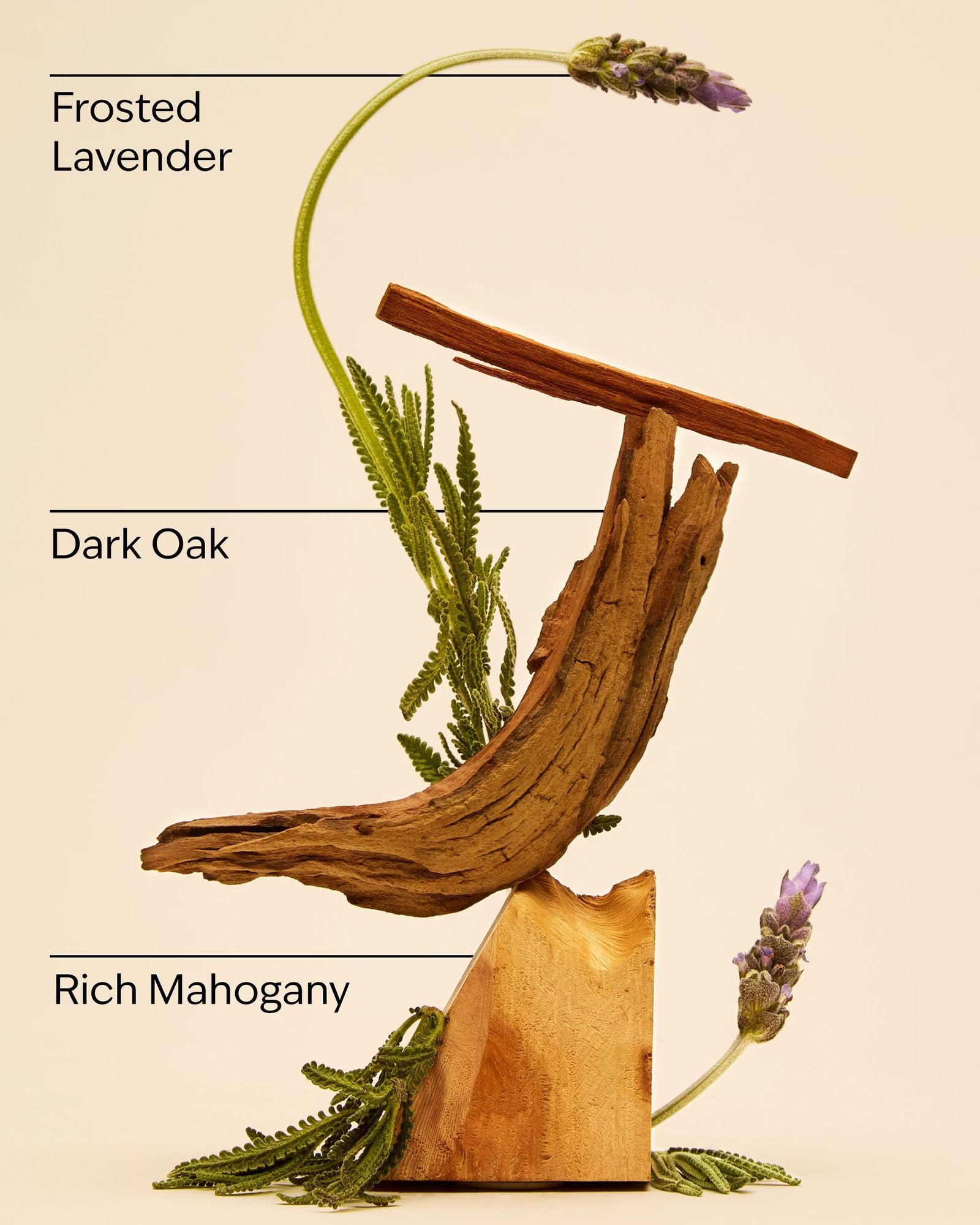 Mahogany Teakwood Intense 3-Wick Candle - Image 3