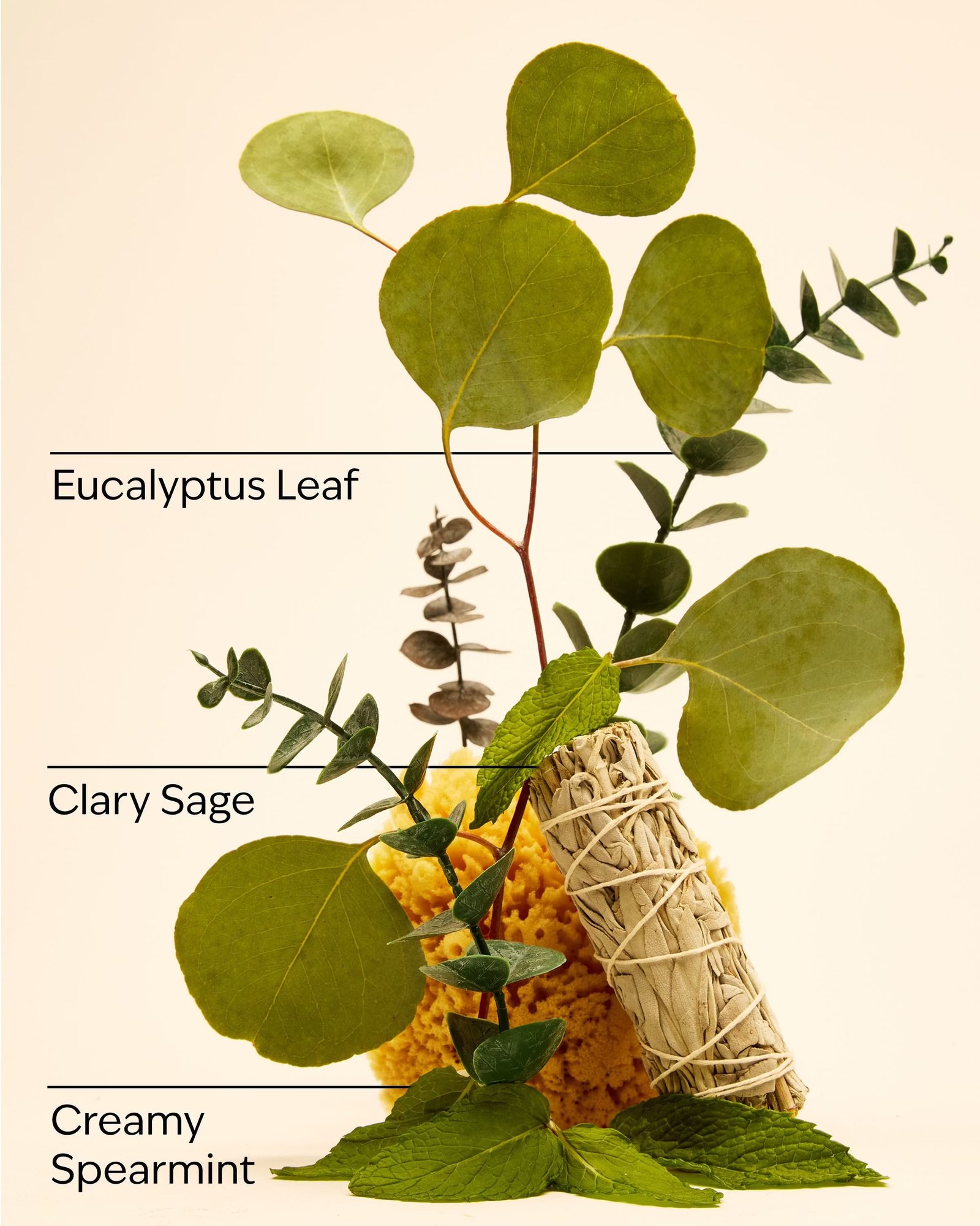 Eucalyptus Spearmint Shower Steamers - Image 3