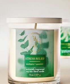 Alternative view of Eucalyptus Spearmint Single Wick Candle