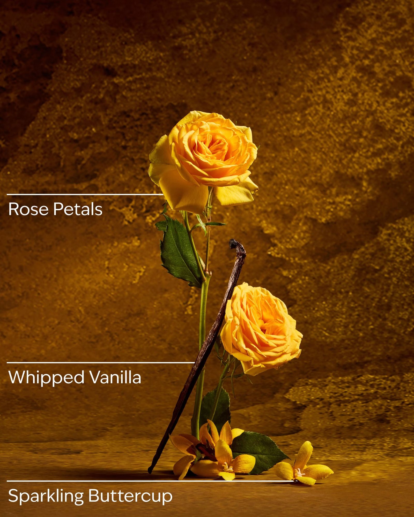 Belle Fine Fragrance Mist - Image 3