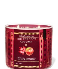The Perfect Autumn 3-Wick Candle