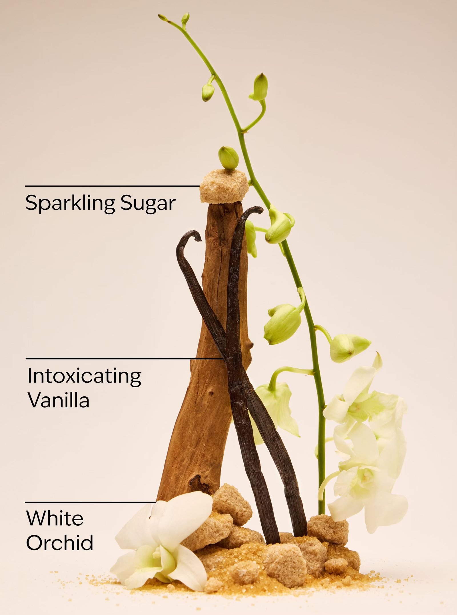 Warm Vanilla Sugar Creamy Body Scrub - Image 3